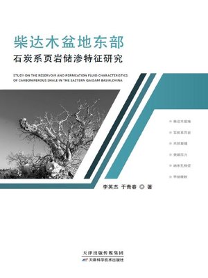 cover image of 柴达木盆地东部石炭页岩储渗特征研究